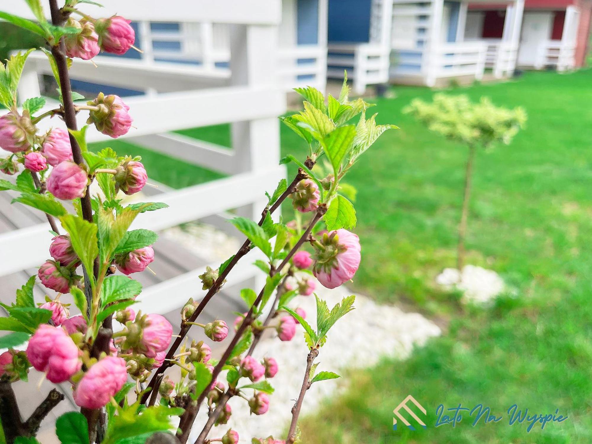 Vila Lato Na Wyspie Gdaňsk Exteriér fotografie